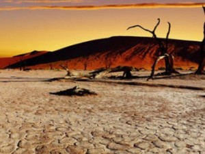 PH : DR - les opportunités du changement climatique peuvent-elles conduire le continent vers un développement transformatif?