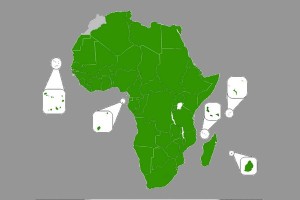 Charte-africaine