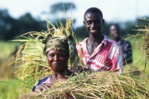 L'Année 2014 déclarée par les Nations Unies et la FAO l'année de l'agriculture familiale