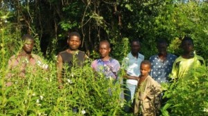 Payans de Centrafrique
