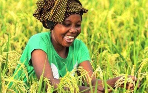 Ph: DR-: L’agriculture, une voie d’avenir pour la jeunesse.