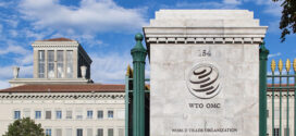 12ème Conférence ministérielle de l’OMC / Commerce et développement : L’intégration des petites économies dans le système commercial sera également au menu des échanges