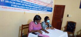 Atelier de validation du rapport de l’étude sur la prise en compte de l’impact du Covid-19 sur les femmes et les filles dans les politiques publiques au Bénin   