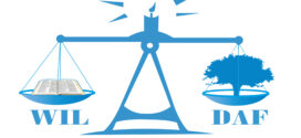 WiLDAF-Bénin lance un cri du cœur aux autorités judiciaires compétentes (Communiqué de presse)