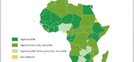  CEA / Zone de libre-échange continentale : un pas de plus pour le Cameroun