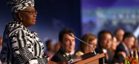 Genève / CM12 : Dr Ngozi Okonjo- Iweala appelle à une volonté politique des membres