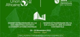 Niger/ Semaine africaine de l’Industrialisation : Pour une croissance soutenue et inclusive 