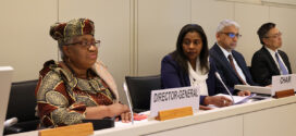 OMC / Commerce et Développement : La DG Okonjo-Iweala appelle les membres à s’appuyer sur les résultats de la CM12 pour faire avancer les questions de développement