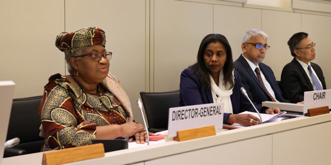 OMC / Commerce et Développement : La DG Okonjo-Iweala appelle les membres à s’appuyer sur les résultats de la CM12 pour faire avancer les questions de développement