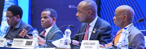 CEA / Les ministres africains appellent à des réformes du système des Droits de tirage spéciaux du FMI