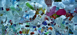 CM13: Dialogue sur la Pollution par les plastiques et le Commerce des plastiques écologiquement durable