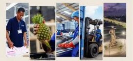 Benin Business Forum 2025 : Le Bénin à l’assaut du marché japonais avec un forum économique d’envergure